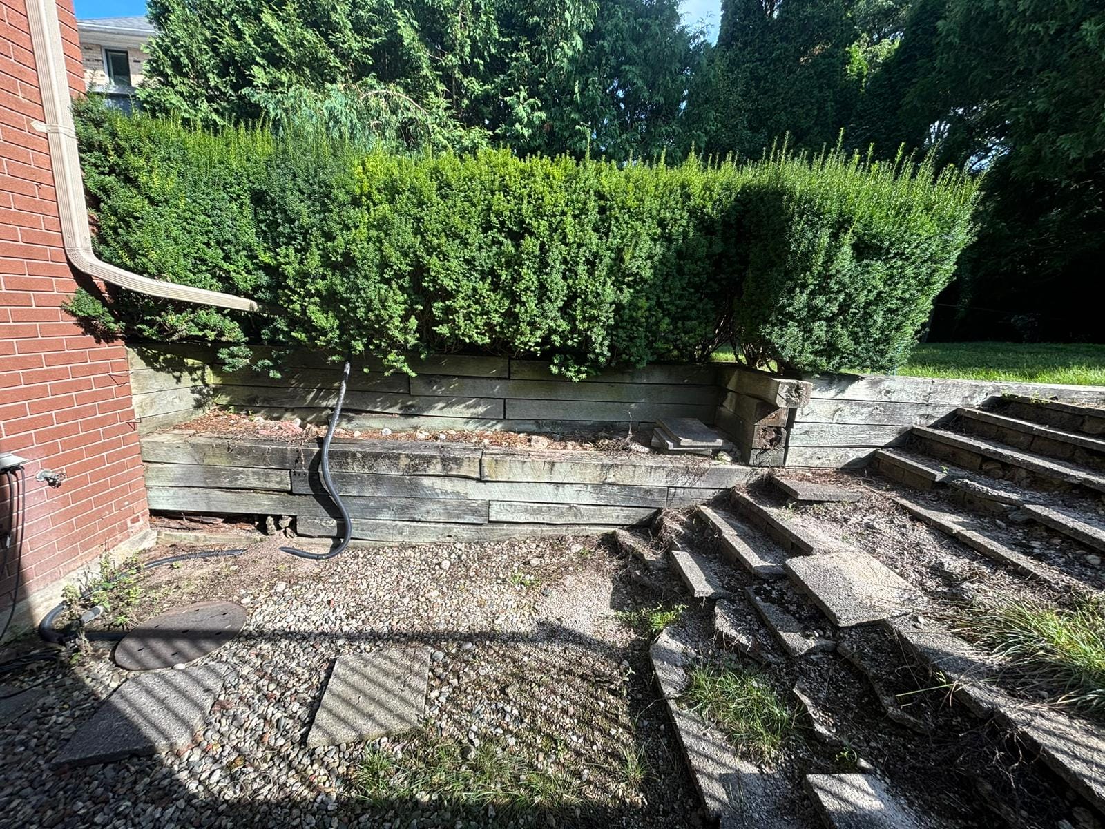 Weathered timber tie retaining wall topped with a trimmed hedge next to concrete garden steps